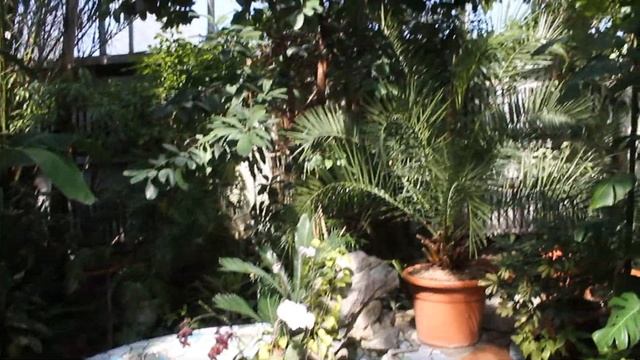 Ботанический сад Запорожье 2019 смотреть онлайн