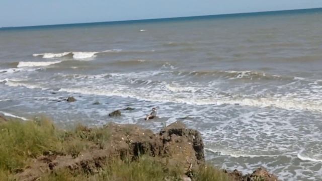 Кучугуры. вулкан Плевак. смотреть онлайн