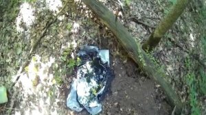 Сооружаем купалку для кабанов.