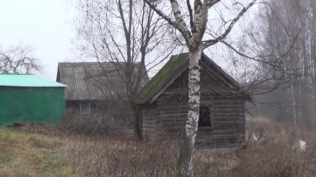 Татево Оленинский район Тверской области смотреть онлайн