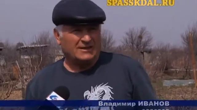 Следы тигра смотреть онлайн