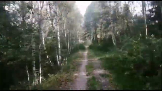 ОДИНОЧНЫЙ ПОХОД В ЛЕС / НАБРАЛИ ГРИБОВ /ЧУДО БОЛЬНИЦА смотреть онлайн