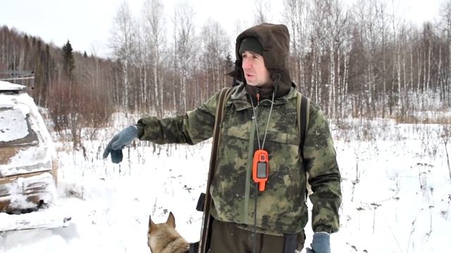 Охота на лося и медведя в тайге по снежкам смотреть онлайн