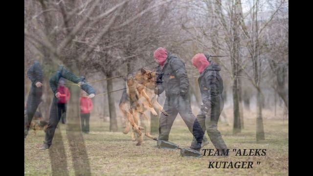 Семинар 12-13.02.2022 Команда "Алекс Кутагер" и А. Латынкин. г. Ростов-на-Дону смотреть онлайн
