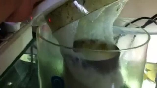 Skimmer смотреть онлайн