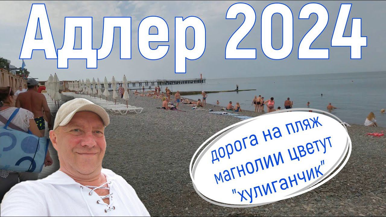 Адлер 2024, июнь. На море на самолете. "День блогера", дорога на пляж. 4 серия.