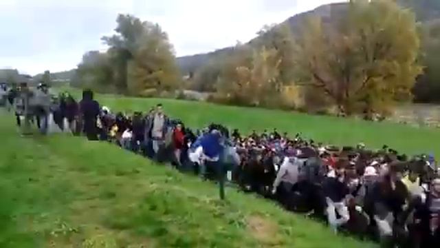 Беженцы в Словении смотреть онлайн