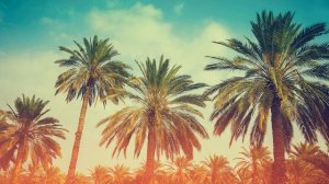 Фильм комедия семейная. Веселая Семейка