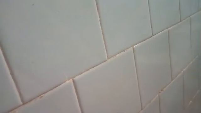 Показываю как я учусь в школе. смотреть онлайн