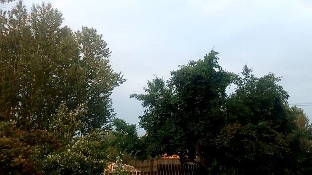 В День Святого Духа. смотреть онлайн