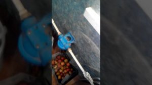 Как зделать петлю на крыс или птиц