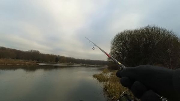 Спиннинг для джига. Champion rods Team Dubna. Вещь или очередная спекуляция?