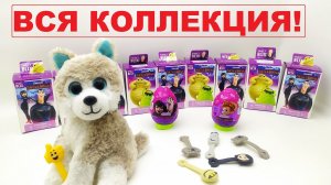 МОНСТРЫ НА КАНИКУЛАХ 4: ТРАНСФОРМАНИЯ. СВИТ БОКС Новая серия! Sweet box распаковка с щенком Митей!