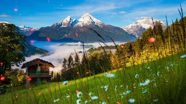 Музыка расслабляет нервную систему, улучшает память ? Музыка Сергей Грищук смотреть онлайн