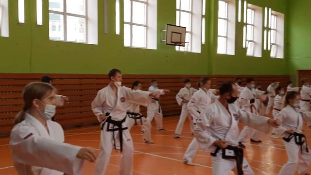 Семинар по Тхэквондо ГТФ смотреть онлайн