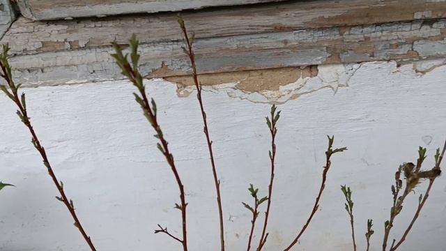 Посилка від Бережнюків. смотреть онлайн