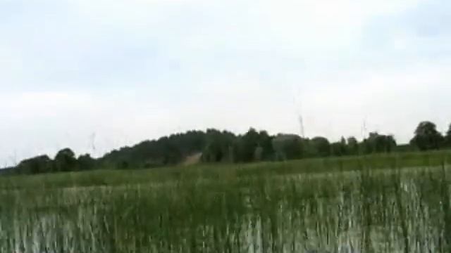 На вёслах на остров в балтезерс смотреть онлайн
