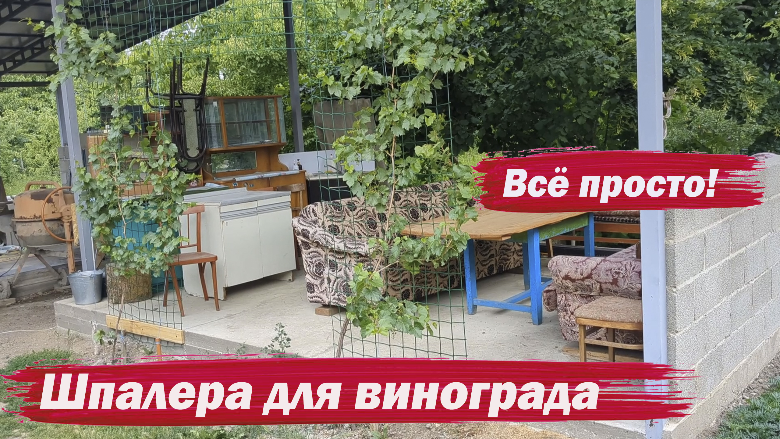 Шпалера для винограда смотреть онлайн