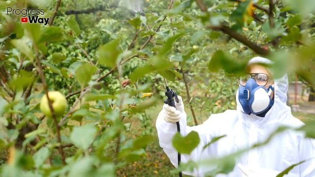 Соседский Сад В Парше А Мой Чистый! Каждую Позднюю Осень Я Обрабатываю Так Железным Купоросом! смотреть онлайн