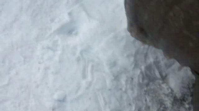 28 ноября 2020 г. смотреть онлайн