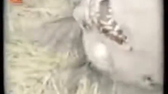 Ну наконец то славные баварские лесники пристрелили этого Вер Вульфа достававшего 3 года всю округу смотреть онлайн