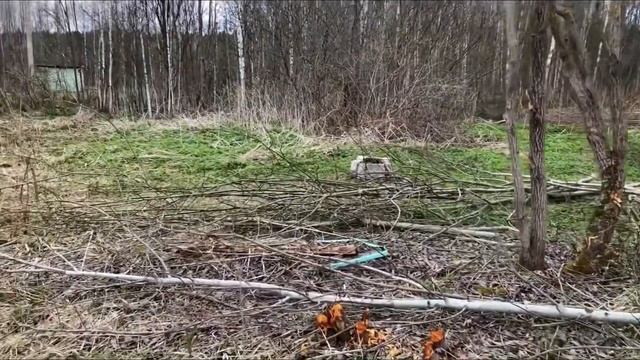 VLOG: 3-4 день работы на нашем участке| разработка участка с нуля| купили заброшенную дачу смотреть онлайн