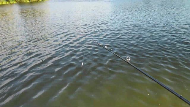 Покидушки с Fishband TENDER SHOOT бросаем 0,8 и 1,6 грамма. BFS конкурент для Calcutta Conquest смотреть онлайн