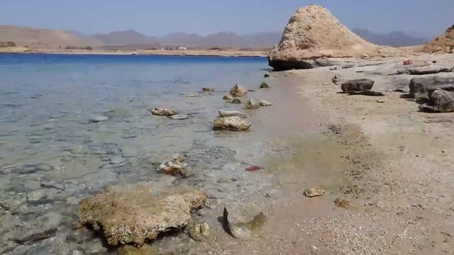 ШАРМ ЭЛЬ ШЕЙХ СЕГОДНЯ , СКАТ И БОЛЬШАЯ РЫБА В МОРЕ, ЕГИПЕТ 2020 смотреть онлайн