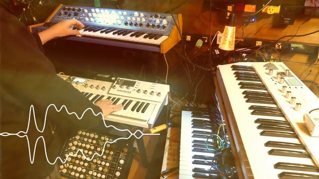 Waldorf Blofeld Horkheimer Arp C037 and Friends смотреть онлайн