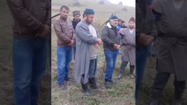 нохчи келой смотреть онлайн