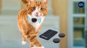 Best Cat GPS Tracker In 2023 - Top 10 Cat GPS Trackers Review