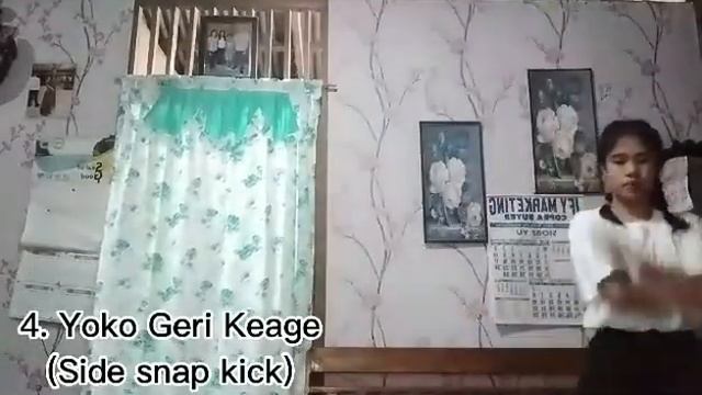 6. BASIC SHOTOKAN KARATE KICKS смотреть онлайн