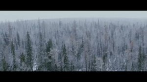 Родина  - Рутгер Гарехт | КЛИП