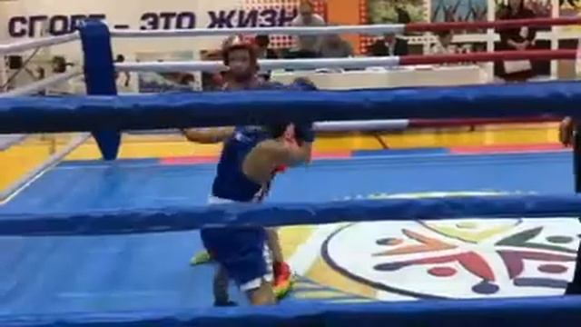 Соревнования по боксу г. Чайковский 1 раунд смотреть онлайн