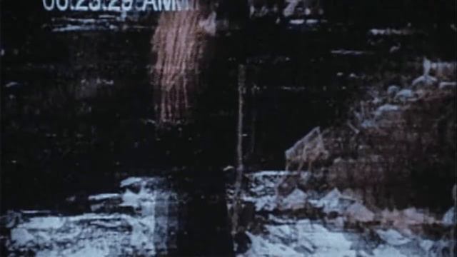Book of Shadows Blair Witch 2 2000 смотреть онлайн