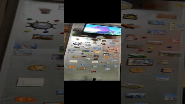 Мой Басик смотрит телевизор. смотреть онлайн