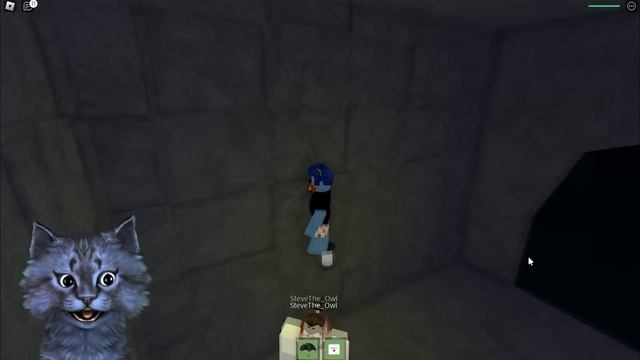 ПЫТАЮ СТИВА игрой про ЛАГЕРЬ (Camping Roblox) смотреть онлайн