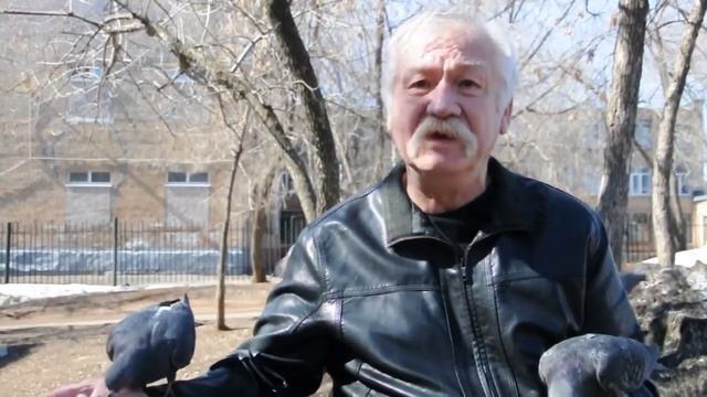 Стихи и голуби смотреть онлайн