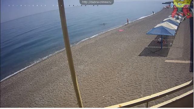 Купить доменное имя смотреть онлайн