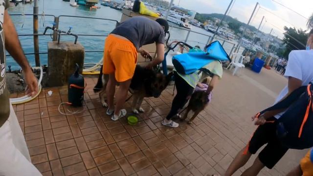 The Best of Sai Kung Town, Hong Kong смотреть онлайн