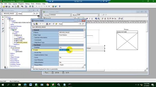 Image Browse for Run Time Display & Processing for Oracle Developer Suite Forms 10g/11g/12c смотреть онлайн