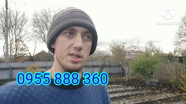 Остання розсада ? У ЦЬОМУ РОЦІ. ТЕЛЕФОНУЙТЕ, ВІДПРАВЛЮ СЬОГОДНІ! Є ДЕКІЛЬКА СОРТІВ ? смотреть онлайн