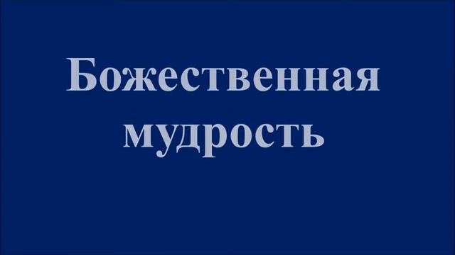 БУКТРЕЛЛЕР ХРОНИКИ НАРНИИ смотреть онлайн