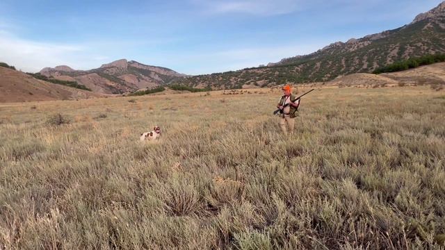 Судак Перепел 07 сентября