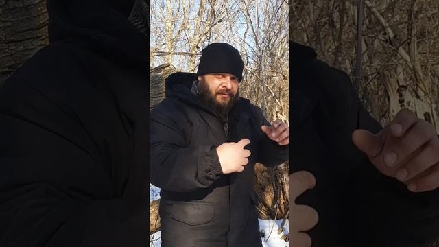 Коварные Бобры которые забираются на деревья смотреть онлайн