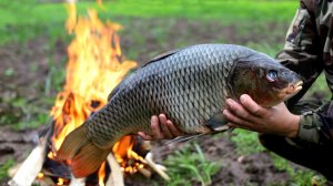 Так рыбу мало кто готовит. Запекаю карпа на 6кг с начинкой в углях.