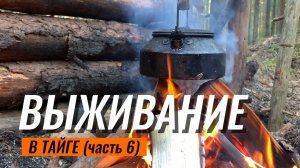 Суровая Карельская Тайга ВЫЖИВАНИЕ #карелия #выживание