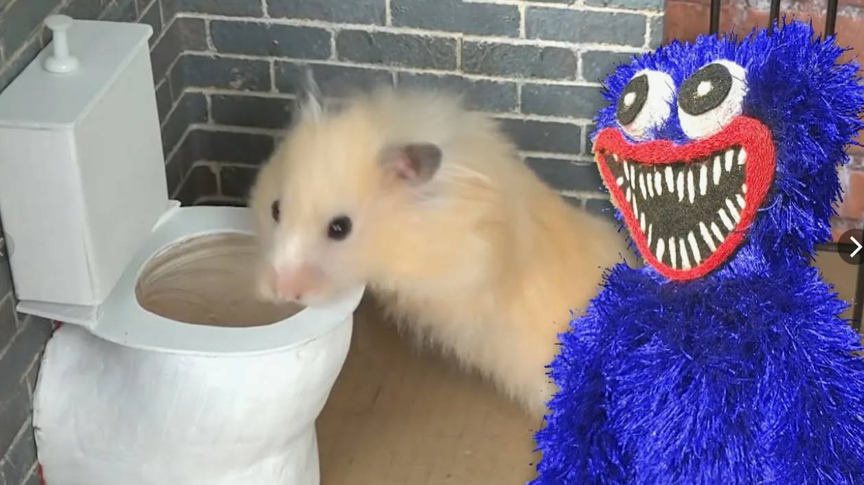 Хомяк Ныряет В Унитаз, Чтобы Убежать Из Тюрьмы Вместе С Хагги Вагги. смотреть онлайн