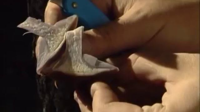 Lepista Nuda смотреть онлайн