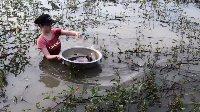 FISH TRAP with HUGE OCTOPUS for RIVER MONSTERS смотреть онлайн